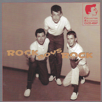V.A. - Rock Boys Rock